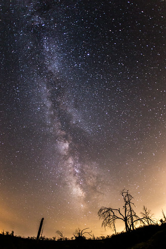 california sky mountain tree landscape julian unitedstates sandiego nighttime burnt nightsky milkyway vialactea