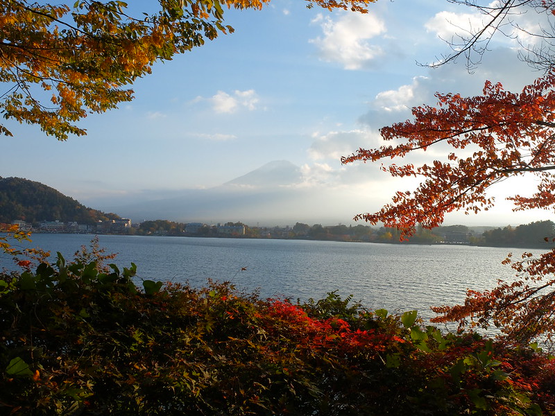Fuji Autumn