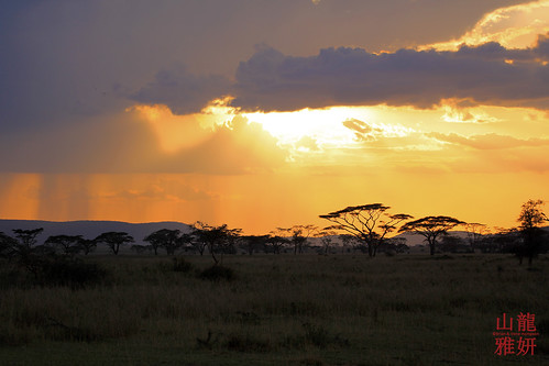 africa sunset tanzania safari serengeti tropicaltrails