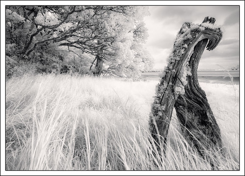 wales river landscape ir unitedkingdom decay infrared concept photostyles boulston