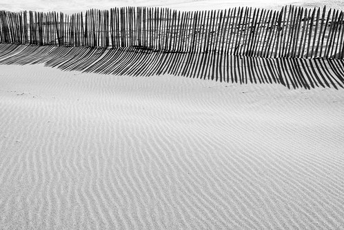 light shadow bw beach lines backlight strand bn sw katwijk gegenlicht penderecki staketenzaun palingfence 1685mm rainer❏