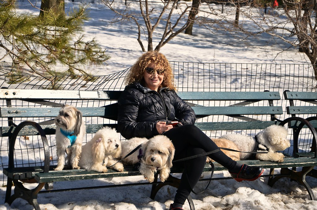 woman on bench with dogs20140220-DSC_0664.jpg
