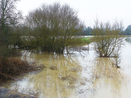 winter west landscape sussex floods henfield