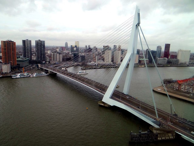De Rotterdam uitzicht Erasmusbrug