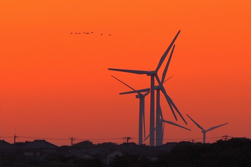 sunset windmill redsky sunsetlight