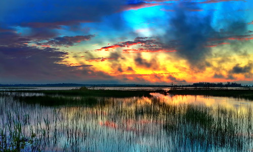 sunset ontario reeds greatlakes shores lakehuron oliphant