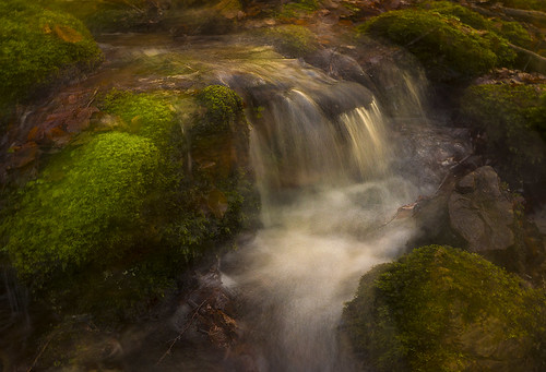 autumn water creek river flow moss stream sweden stones icm halland intentionalcameramovement mygearandme mygearandmepremium mygearandmebronze mygearandmesilver