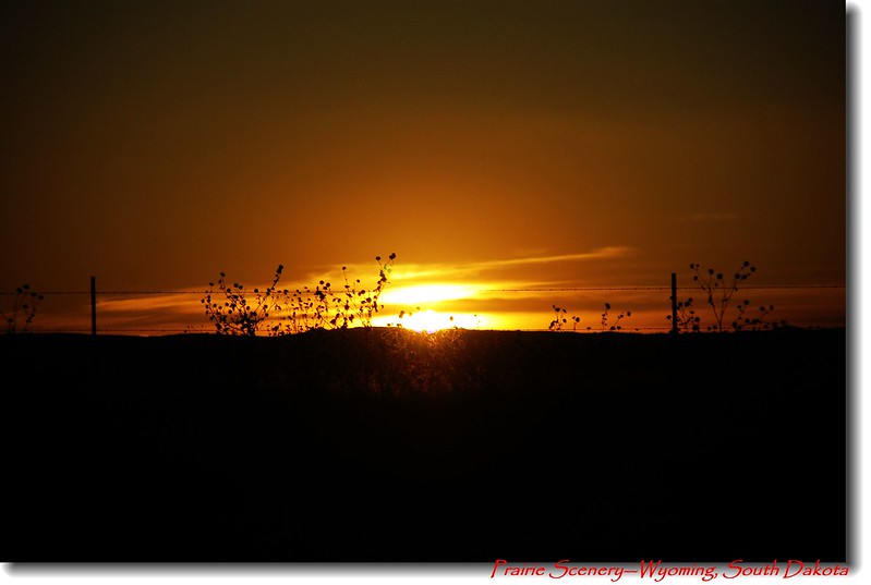 Sunset in prairie