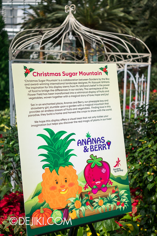 Gardens by the Bay - Flower Dome - Christmas Sugar Mountain