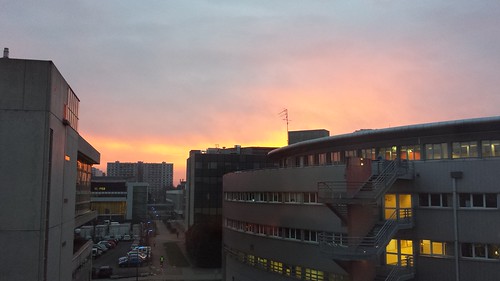 rose sunrise soleil université strasbourg sohne
