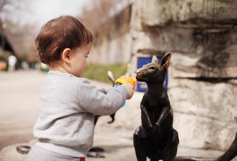 cute & little blog | Dallas Zoo family trip