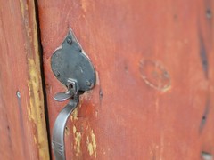 maple door