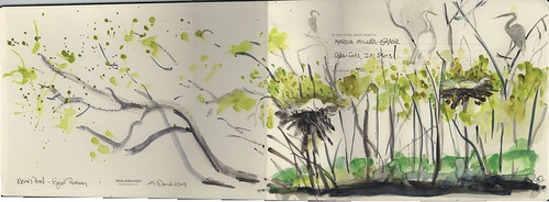 watercolor landscape spring wadingbirds littlesaintsimonsisland moleskinewatercolorsketchbook marciamilnerbrage