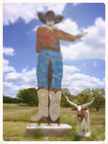 new usa southwest mexico cowboy texas tall longhorn roadside steer calf attraction texan