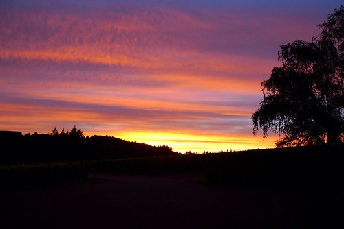 sunset sky skyscape vineyard willamettevalley