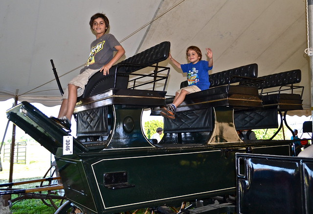 My boys in a carriage Amish Auction Lancaster County PA