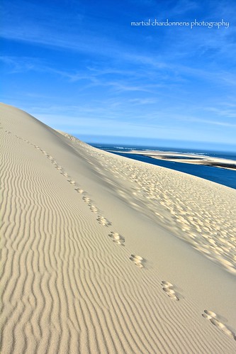 france sand dune sable sud arcachon pyla gascogne gironde