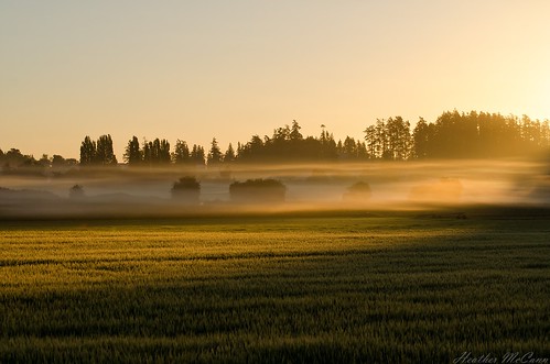light shadow mist topf25 field fog sunrise bc farm victoria vancouverisland valley michell saanich yyj uploaded:by=flickrmobile flickriosapp:filter=nofilter