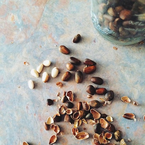 Shelling pine nuts. All they need is a tap with the side of a jar then pull off the shell. Do that a million times and you might have a quarter cup or so