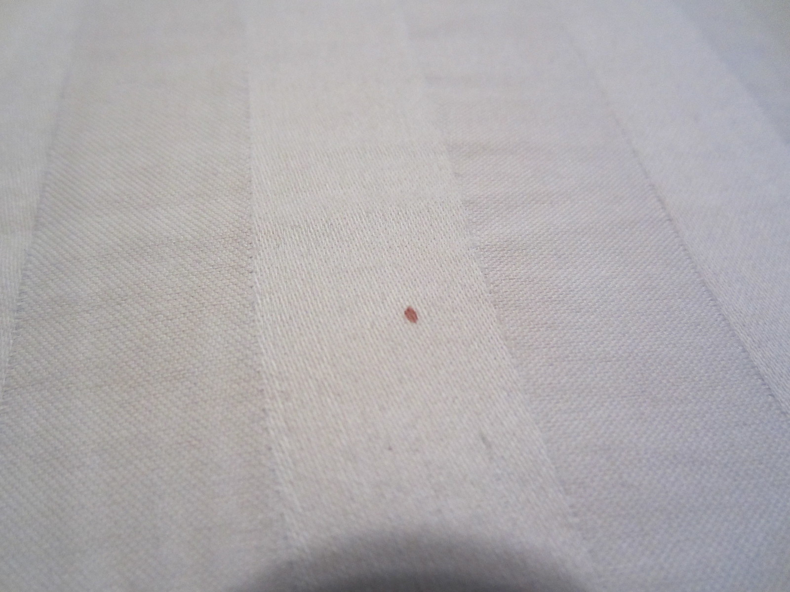Stain; Bed Bugs? [a: blood stains NEVER confirm bed bugs] Â« Got Bed ...