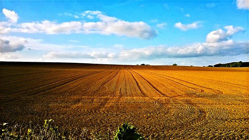 line season field lumia nokia explore autumn iso100 new lines september day cloud ngc landscape landscapes clouds amazing beautifulscenery beauty beautiful vanishingpoint countryside countryliving countrylife fields farmland farming dividing nature photography agriculture sky ireland valley orange light shadow image peace