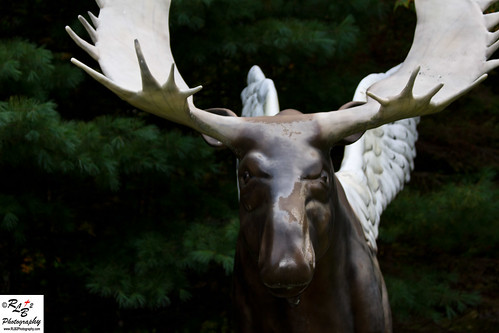 me flying maine moose legend rockwood theflyingmoose rlb2creations rlb2photography