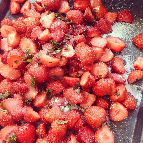 Strawberry-mint syrup underway for @JenniferPerillo roasted strawberry frozen yoghurt