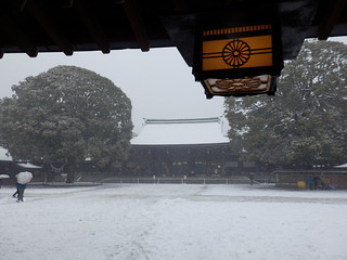 Meiji Shrine Snow Scene
