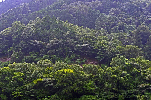 mountain japan landscape vegetation kumamoto kyushu