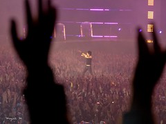 Stade de France - Indochine - 28 Juin 2014