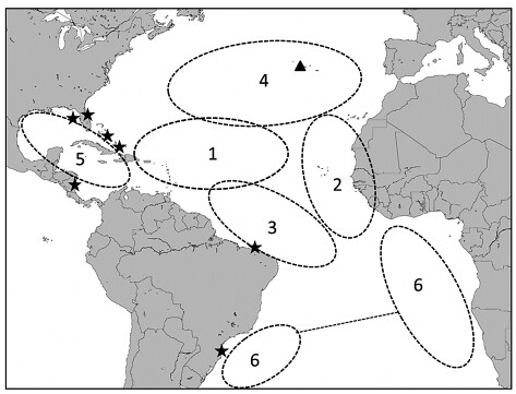 微量元素鈦、鉻、鋯及鋇，將大西洋小海龜樣本區分出六大群體。