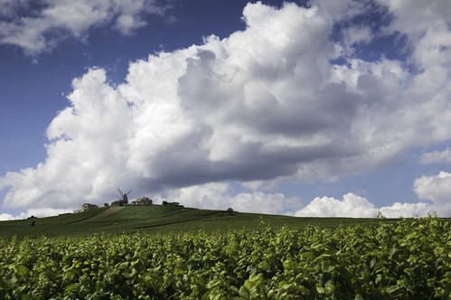 france clouds pentax champagne wolken frankrijk windmolen k3 druiven verzenay wijngaarden druivenstokken moulindeverzenay