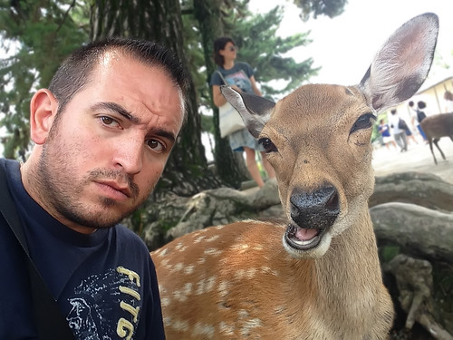Selfie con un ciervo de Nara