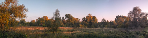autumn sunset panorama landscape evening meadow siberia sigmadp2merrill