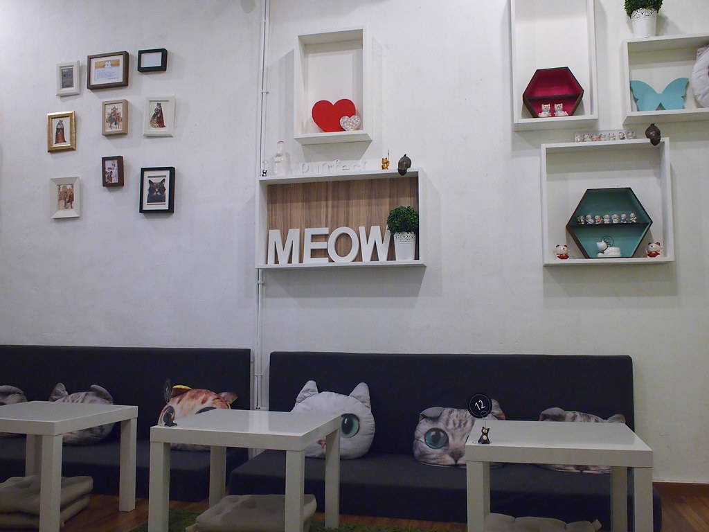 Purrfect Cat Cafe Georgetown Penang
