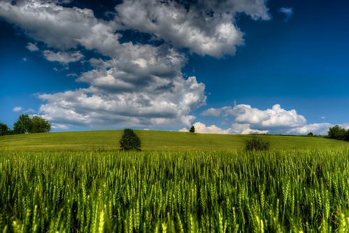 summer sky cloud green nature colors field spring day cloudy background wheat riccardo mantero afsnikkor1635mmf4gedvr