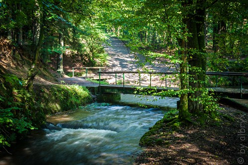 blue green water creek bach altenberg eifgenbach