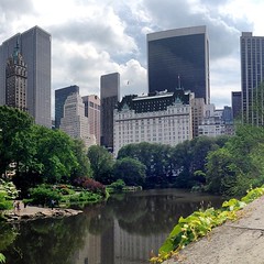 Glad I'm not in the office on a day like today. Hanging out on #gapstow bridge in #centralpark.  #nyc #midtown