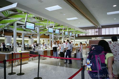 lines of check-in
