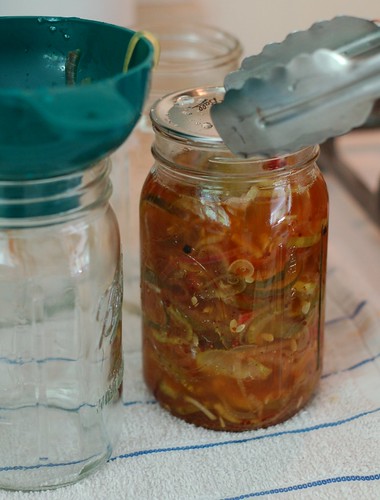 Filling the jars with Bread & Butter Pickles by Eve Fox, The Garden of Eating, copyright 2014