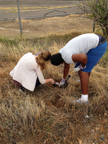 students dig to reclaim desert area