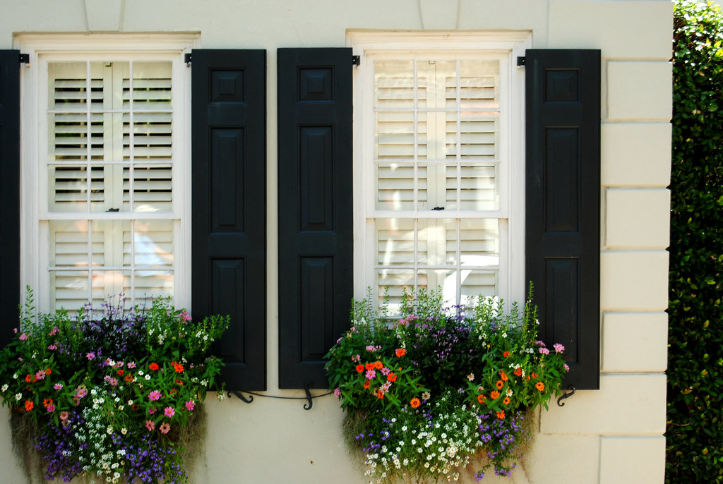 Charleston Window Boxes
