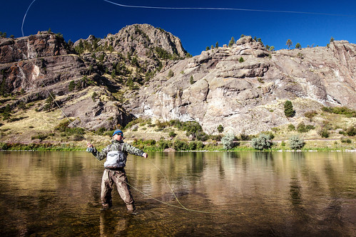 morning travel blue light summer sunlight man motion nature water beautiful grass sport horizontal creek standing river season outdoors person one fly spring fishing fisherman scenery montana stream solitude break mt action release deep rocky bank gear sunny running hobby line clear shore edge catching rod leisure midair flyfishing recreation flowing copyspace wilderness trout hook activity cascade casting tackle waders wading active patience rainbowtrout reel determination freshwater lifestyles casts recreational browntrout flyrod colorimage outfitter environmentalportraiture