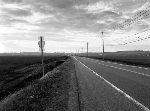 road new york bw white ny black film sign landscape florida kodak bronica medium format portra400
