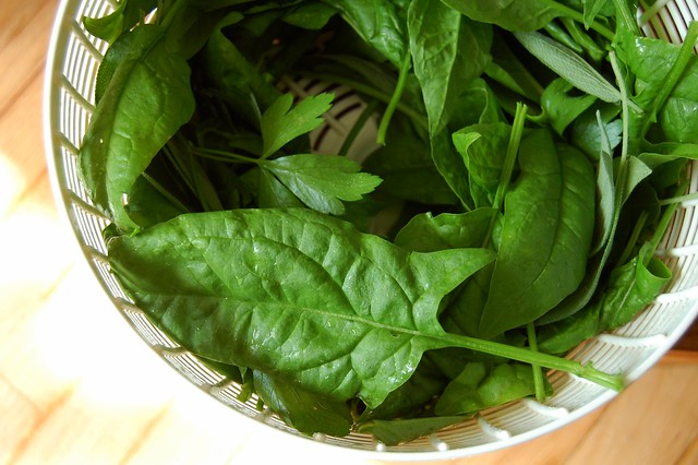 Garden spinach by Eve Fox, the Garden of Eating, copyright 2014