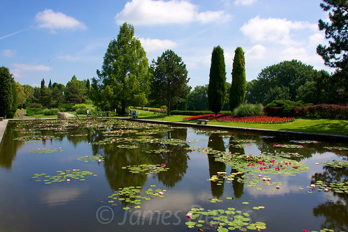 italy reflection garden landscape pond europe sunny waterlillies lakegarda lombardy veneto valeggiosulmincio