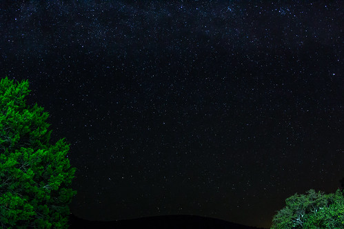 trees night stars texas astrophotography enchantedrock milkyway