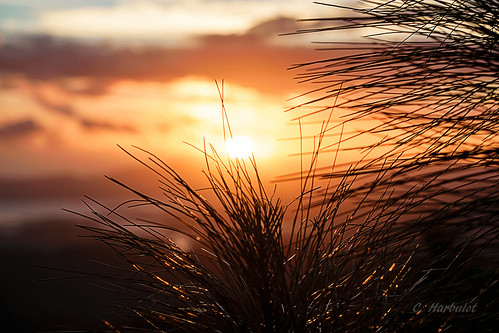 sunset de landscape soleil nikon paysage nouvellecalédonie newcaledonia mont couché koghi d5300 55300mm