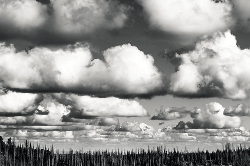 trees summer sky bw white storm black weather clouds forest canon landscape mood cumulus southernutah dslr stark nationalmonument sl1 cedarbreaks sigma18250mmf3563dcmacrooshsm