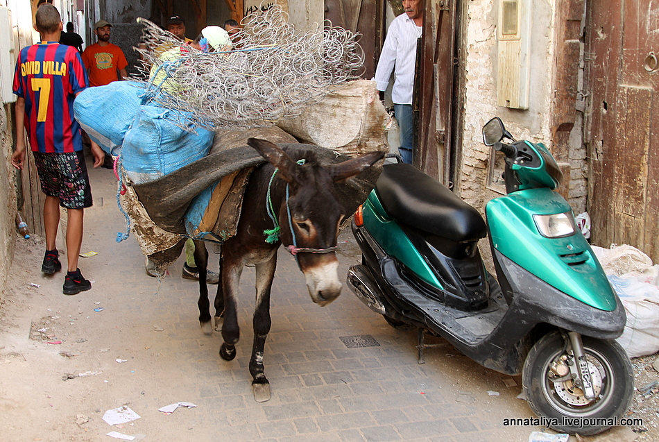 Зачем в этом марокканском городе каждому туристу вручают веточку мяты? IMG_5225